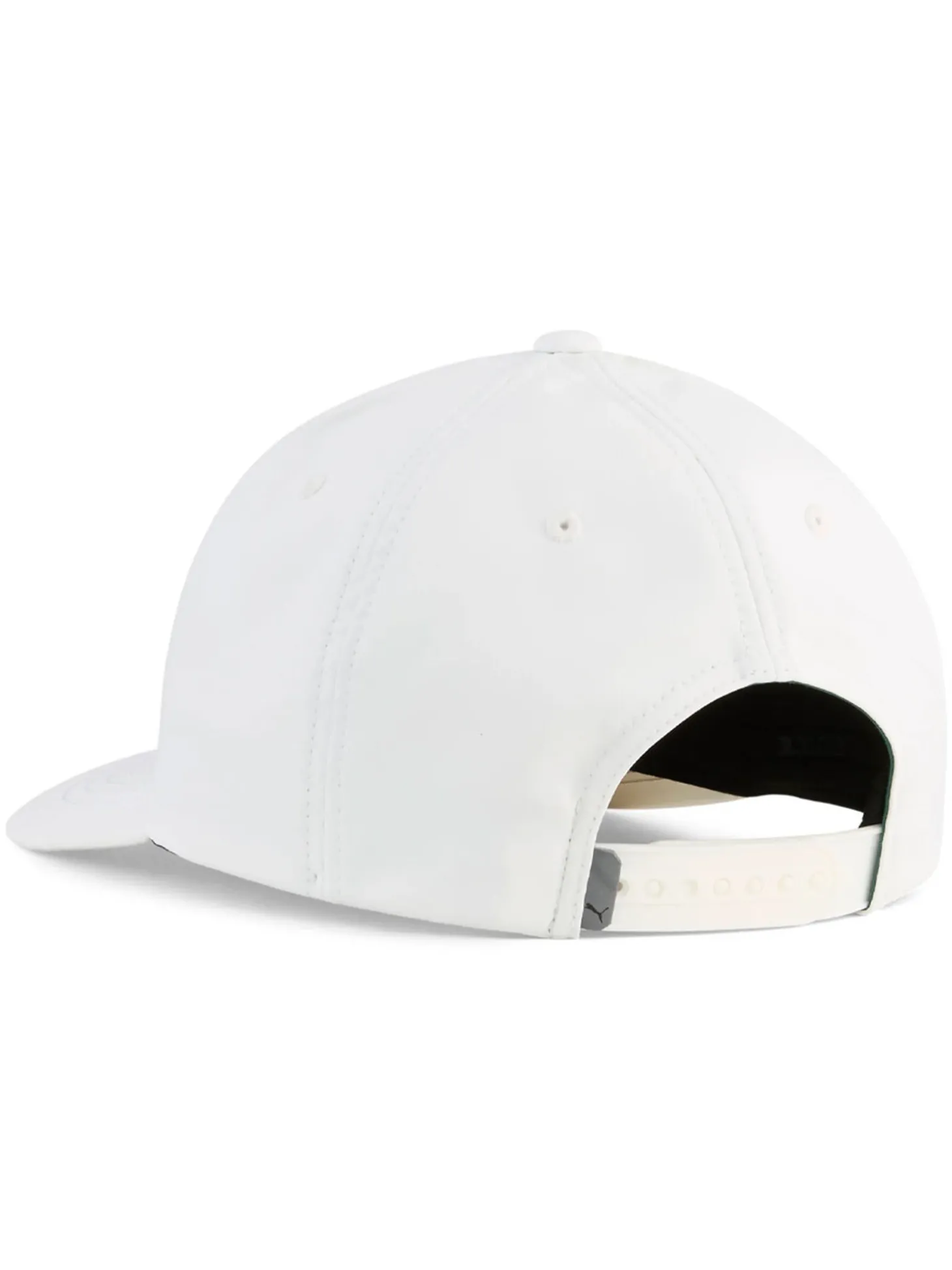 Puma Heritage P Cap - Alpine Snow/Green Terrain